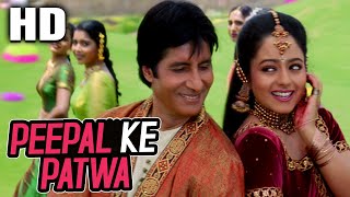 Peepal Ke Patwa Sonu Nigam Jaspinder Narula Sooryavansham 1999 Songs Amitabh Bachchan Soundarya [upl. by Aliehs]