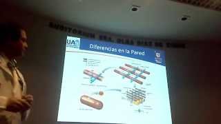 ATB según mecanismos de resistencia bacteriana 1 [upl. by Yrrol743]