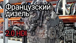 Самый надежный французский мотор Разбираем турбодизель 20 HDI DW10TD  RHY [upl. by Leelaj]