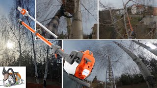 Pruning Three Birches  Husqvarna 525P5S  Stihl MS 251 [upl. by Nasya592]