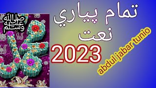 Naat Pyari Naat 2023Natkhwan AbdulJabarTunioSanae Mustafa Official [upl. by Ynelram687]