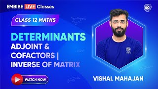 Determinants  Adjoint amp Cofactors  Inverse of Matrix  Class 12 Maths 2025  VISHAL MAHAJAN [upl. by Tani]