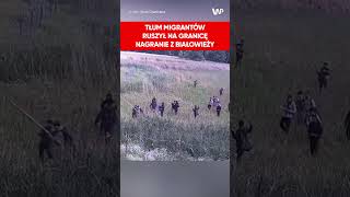 Ogromna grupa migrantów ruszyła na granicę w Białowieży [upl. by Aerol]