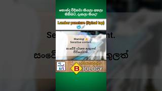 Lumbar puncture Spinal tap💉  Medical biology  අපි නොදන්න Biology  7🫀biology medical shorts [upl. by Leimad]