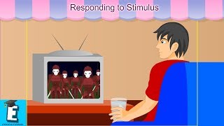 Responding to Stimulus Learn for Children and Kids  EDUKID Learning [upl. by Delanos]