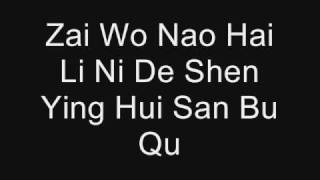 Qing Fei De Yi by Harlem Yu Lyrics PINYIN [upl. by Eseryt]