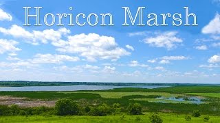 Horicon Marsh  Wisconsin [upl. by Templia]