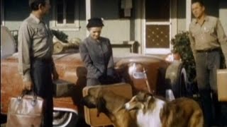 Lassie  Episode 407  quotThe Homesick Houndquot Season 12 Ep 22  02131966 [upl. by Lede]