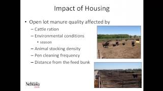 Anaerobic Digestion of Finishing Cattle Manure [upl. by Couq]