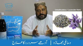 Ustukhuddus  Itrifal Ustukhuddus  dard e shaqiqa  sar dard ka ilaj  lavender herb [upl. by O'Toole]