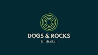 quotDogs amp Rocksquot  Birdtalker [upl. by Eryn884]