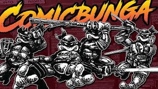 The Hardcore Origin of the Ninja Turtles [upl. by Celle]