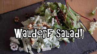 Waldorf Salad [upl. by Selie849]