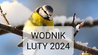 WODNIK luty 2024 odnosisz sukces [upl. by Elvah]