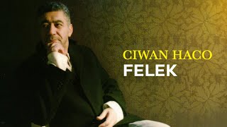 Ciwan Haco  Felek Official Audio [upl. by Curkell]