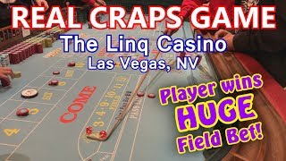 HUGE FIELD BET WIN  Live Craps Game 25  The Linq Las Vegas NV  Inside the Casino [upl. by Locke314]