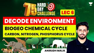 L6  Biogeo Chemical Cycle  Carbon Nitrogen Phosphorus Cycle  Environment Series  Anirudh Malik [upl. by Jacob51]