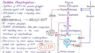 Oxidation phosphorylation  class 11 [upl. by Siddon]