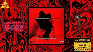 AMAPIANO LIVE MIX BFA AUDIO EXPERIENCE  VOLUME 2 [upl. by Etteniuq]