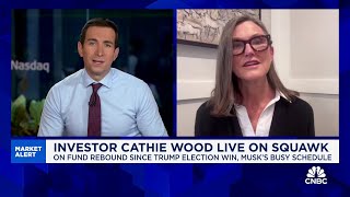 We have a volatile fund Cathie Wood responds to criticism about Ark Invest [upl. by Crescen]