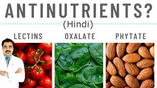 ANTINUTRIENTS kya hain Types Health effects amp Solution Hindi [upl. by Dnallor]