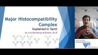 Major Histocompatibility Complex Explained in Tamil [upl. by Ataga]