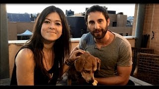 Dani Rovira y Vanesa Martín te invitan a adoptar un animal [upl. by Dinin607]