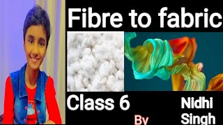 Fibre to fabric class 6  fibre kya hota hai fibre se dhaga kaise banta hai [upl. by Kreegar]