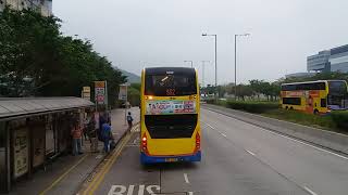 Hong Kong Bus CTB 8509  E21 城巴 Alexander Dennis Enviro500 MMC 機場博覽館 維港灣 [upl. by Newmark761]