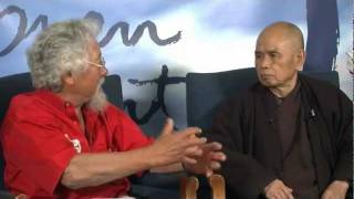 David Suzuki amp Thich Nhat Hanh Despair [upl. by Nally]