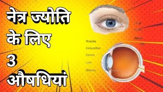 netra Jyoti ke liye 3 ausdhiya three tonics for eyesight piyush ghee sant Shri asharamji bapu [upl. by Ennayoj]