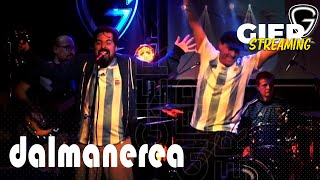 GIERSTREAMING Presenta DALMANEREA [upl. by Cyrilla]