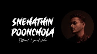 Snehathin Poonchola  Official Video  Lyrics  Cover By Salman sv [upl. by Mathew]