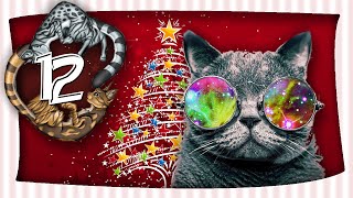 Drogen für Katzen  Miauender Adventskalender  Tag 12  mit Miri [upl. by Hakeem]