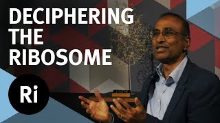 The Story of Deciphering the Ribosome  with Venki Ramakrishnan [upl. by Sillad861]