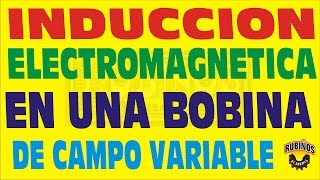 INDUCCIÓN ELECTROMAGNÉTICA EN UNA BOBINA CON UN CAMPO VARIABLE ELECTROMAGNETISMO EJERCICIO RESUELTO [upl. by Enirehtak]