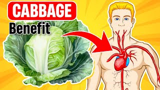 Amazing Health Benefits of Adding Cabbage to Your Daily Diet [upl. by Atekehs732]