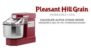 Häussler Alpha sprial mixer kneading 5 lbs of 75 hydration dough [upl. by Belden]