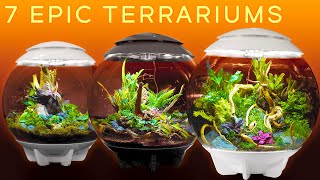 Seven Terrariums That Will Inspire You — Giant BiOrbs [upl. by Asillem]