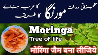 مورنگا کا مربہ بنانے کا طریقہ  moringa tree of life  moringa oleifera health benefits [upl. by Yelrebmik]