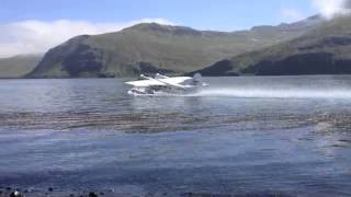 Dutch Harbor Goose Flight 2012 [upl. by Ryhpez]