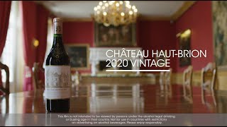 Château HautBrion 2020 vintage [upl. by Eldnik]