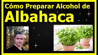 Cómo Preparar Alcohol de Albahaca [upl. by Morrissey481]