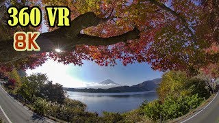 8K 360 VR  ヴァーチャルツアー「紅葉と富士山」MtFUJI in Autumn [upl. by Atinahc]