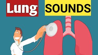 Breath Sound or Lung sound  Abnormal Lung sound  lets Hear it [upl. by Ellenrad341]