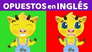 LOS OPUESTOS EN INGLÉS  CLASE DE INGLÉS PARA NIÑOS AMIGO MUMU [upl. by Maier]