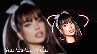 Asi Es La Vida Remix 2024  Emotional Depth by Javier Mendez  Original Track by Sofia Ruiz [upl. by Pathe781]