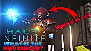 What is the Harbinger  HALO INFINITE [upl. by Crescentia]