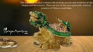 Tips and Placement Feng Shui Dragon Headed Tortoise [upl. by Rubliw]