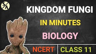 Kingdom Fungi  Class 11 Biology  Amit Kashyap [upl. by Modestia]